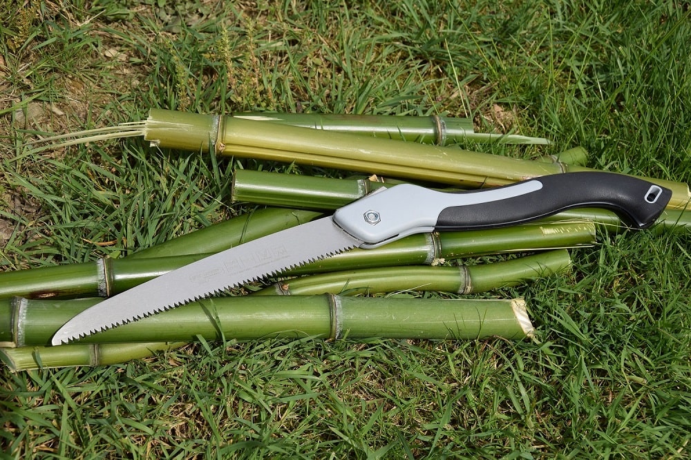 tagliare un bambu