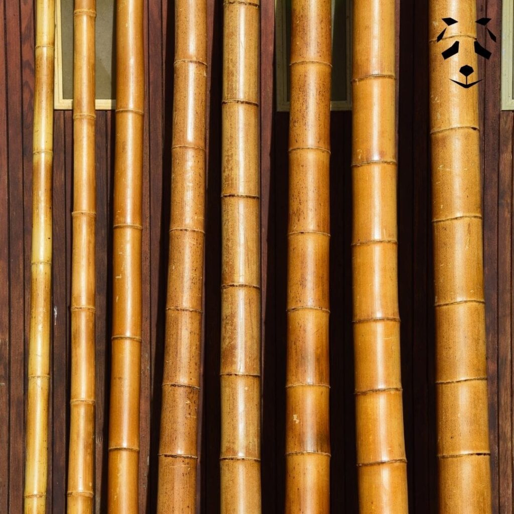 canne di bambu