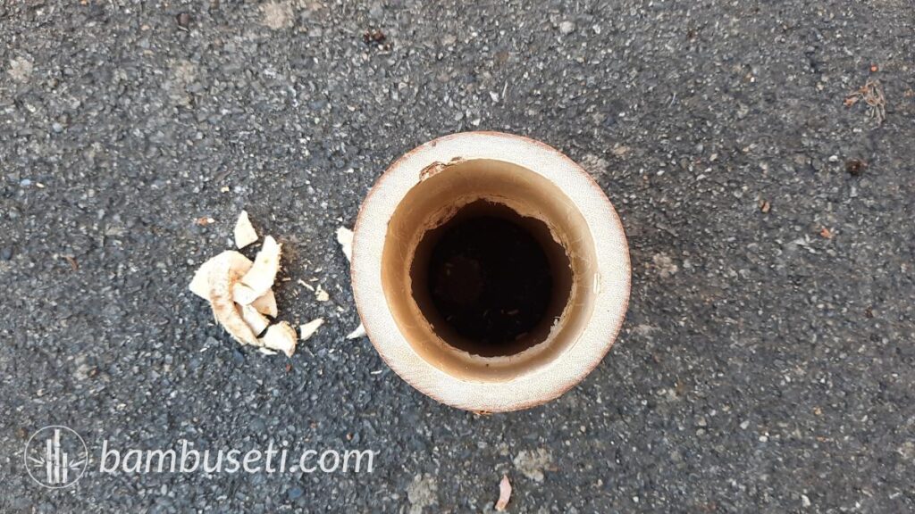 Setto del bambu rotto